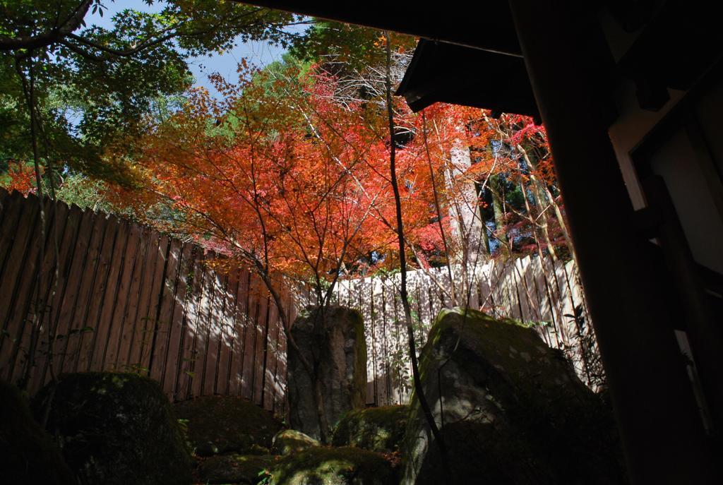 Akizuki Spa Ryokan Seiryuan Asakura  Ngoại thất bức ảnh